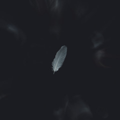 Weightless