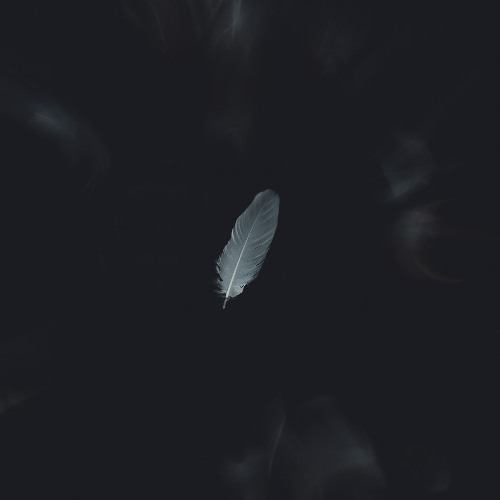 Weightless