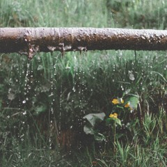 Ilia from Ordon - Vagablond