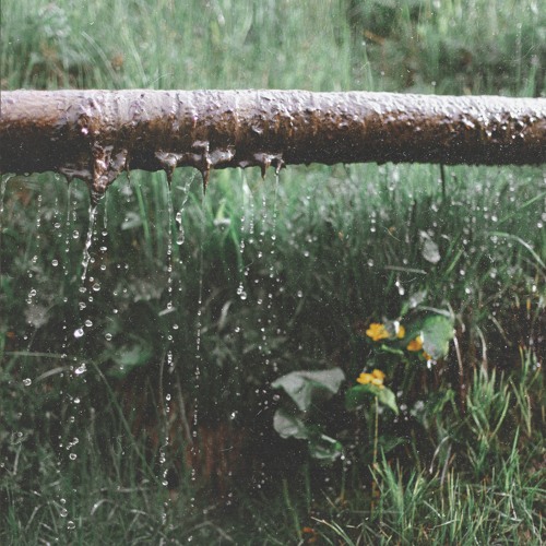 Ilia from Ordon - Vagablond