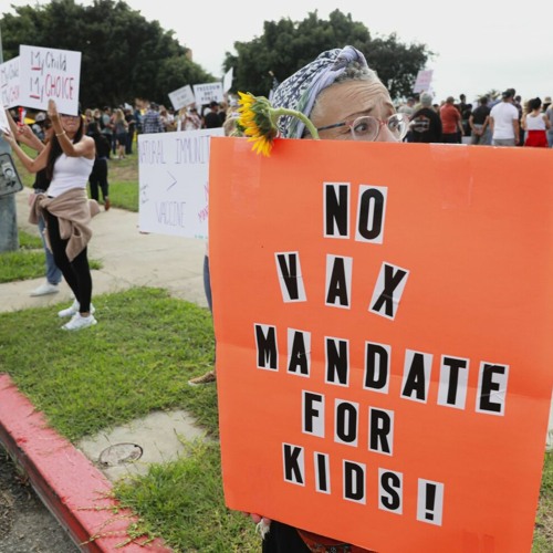 stream-jrnl-3614-drew-safier-vaccine-interview-by-drew-safier-listen
