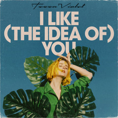I Like (the idea of) You