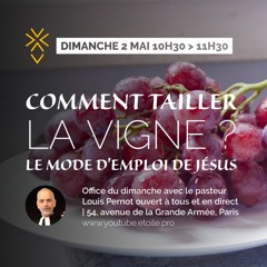 Comment tailler la vigne ? Le mode d'emploi de Jésus | Pasteur Louis Pernot | 2 mai 2021