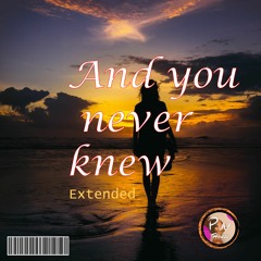 And You Never Knew - Planet Wave House Feat. Mark Ebar ( Extended Remix)