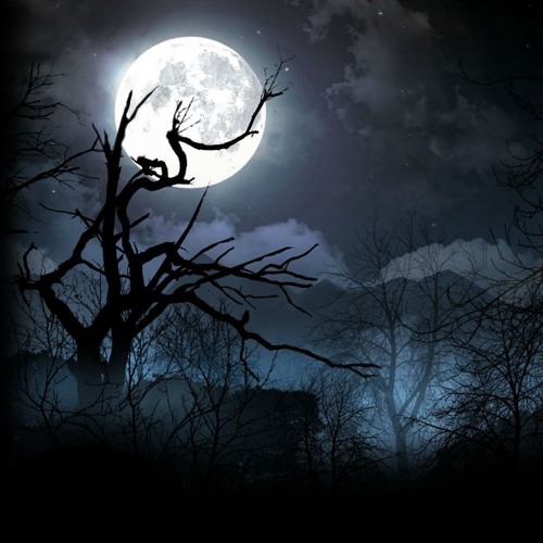 Spooky Scary Skeletons Remix