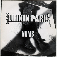 Linkin Park - Numb (E-Thunder Dub Xtreme Private Gay Tribal Mix)