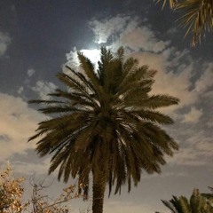 نجد الأحباب - بدر بن عبدالمحسن