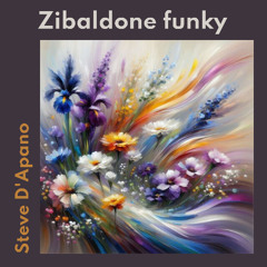 ZIBALDONE FUNKY
