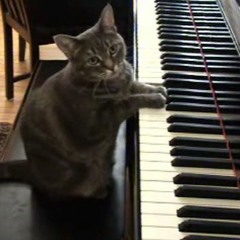 Piano1#4