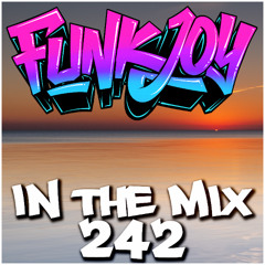 funkjoy - In The Mix 242