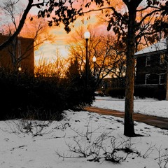 ℂ𝕆𝕃𝕆ℝ 𝔹𝕃𝕀ℕ𝔻 𝟛 : 𝕄𝕒𝕜𝕚𝕤𝕚𝕤𝕒𝕧𝕒𝕖𝕫