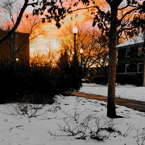 โ๐๐๐โ ๐น๐๐โ๐ป ๐ : ๐๐๐๐๐ค๐๐ค๐๐ง๐๐๐ซ