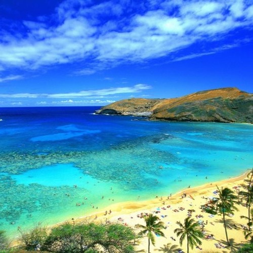 Ecstatic Dance Hawaiian Sanctuary