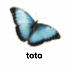 toto