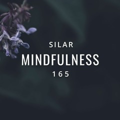 Mindfulness Episode 165