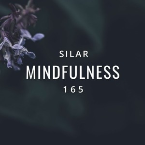 Mindfulness Episode 165 by Silar