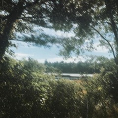 falling into the abyss w rxsegarden