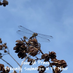 JSCW2: Dragonfly Soulmates In F# Minor