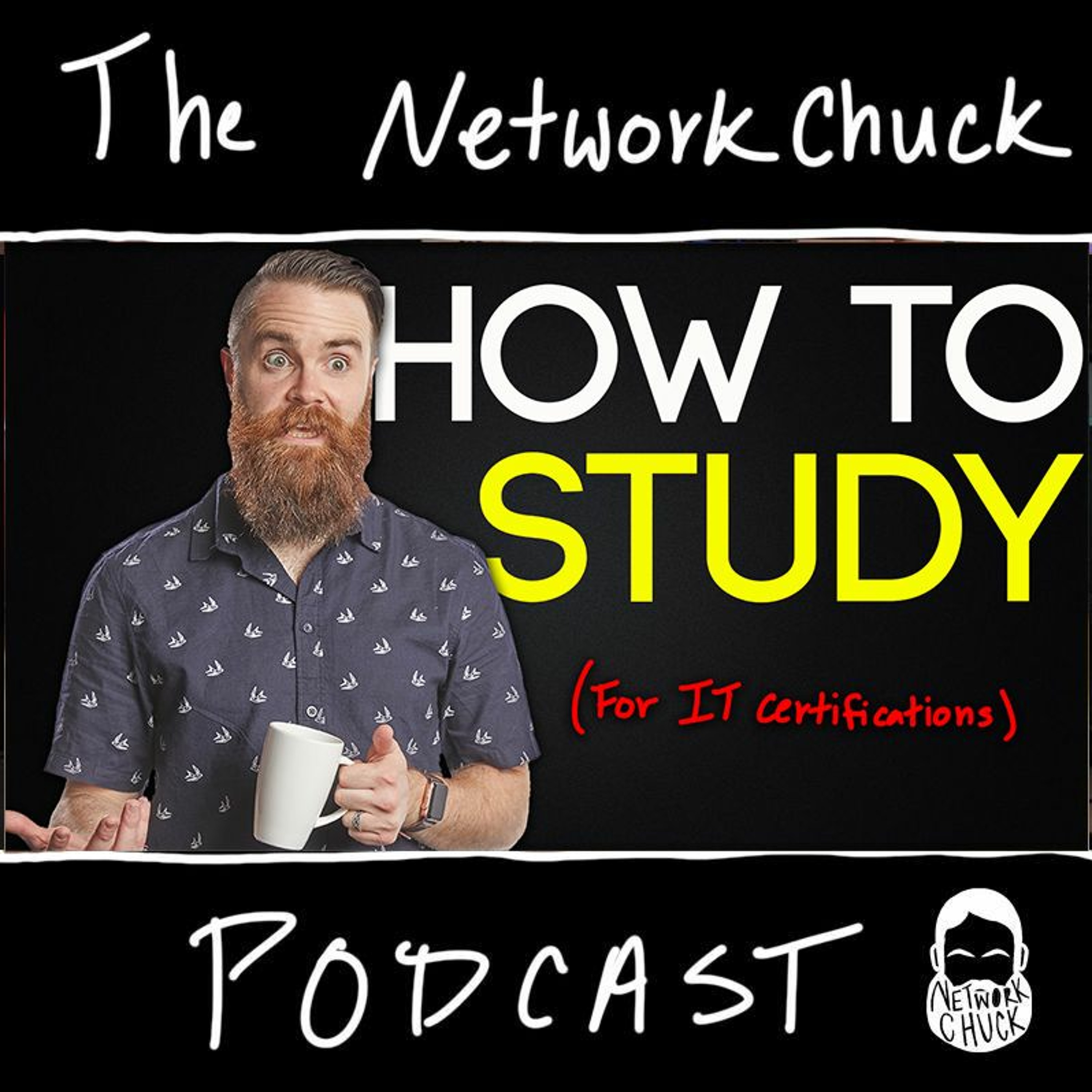noobs // a NetworkChuck Podcast