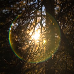 Rezidence 48 - October 2024