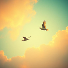 Two Wings in the Sky