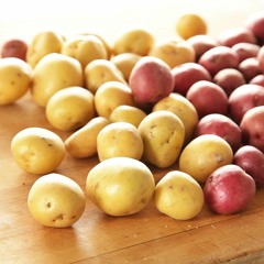 new potato