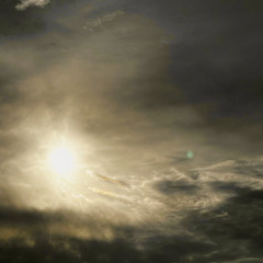 ((((spacepandanation)))) - echoes: autumn 2024