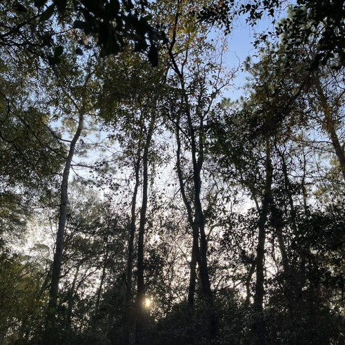 I Am Blessed-Mesquite Assembly