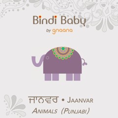 PDF/READ Bindi Baby Animals (Punjabi): A Beginner Language Book for Punjabi Children