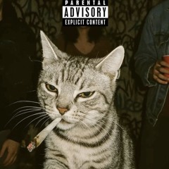 THATSWHATEYELIKE! - Booby