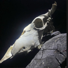 (Intro) “M3X1C0”