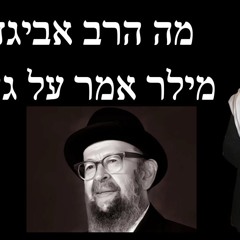 מה הרב אביגדור מילר אמר על גהינום