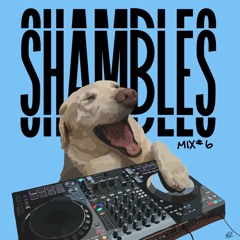 Shambles Mix #6 (Chris Lake, Disco Lines, Alesso, and more)