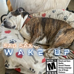 Sad Sax - Wake Up (Produced By Jay Fehrman)