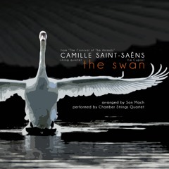 Saint-Saëns: The Swan (Le Cygne) [Chamber Strings Quartet]