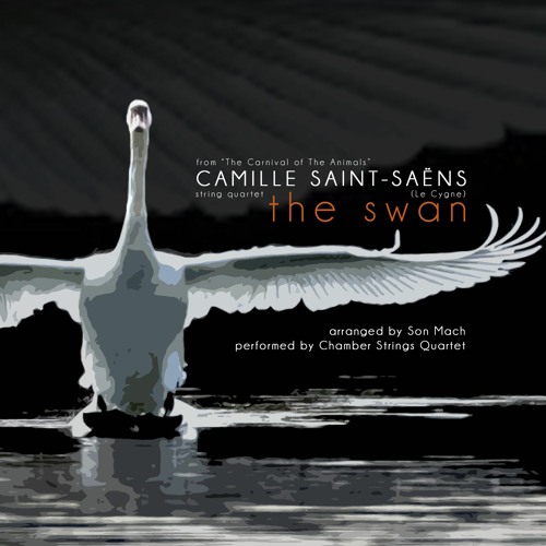 Saint-Saëns: The Swan (Le Cygne) [Chamber Strings Quartet]