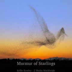 Murmur of Starlings - Kellie Rowley, Prod. by Zeph Daniel