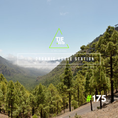 Zen Organic House #175 - Melodies for the Mind | 🛋️ Deep Focus dj mix session 慢摇