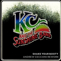 KC and the Sunshine Band - Shake your Booty ( Andrew Cecchini  Rework)