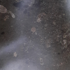 die doppelte dusche sleilek