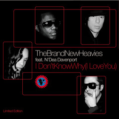 I Don’t Know Why I Love You - Kenny Dope Remix - Radio Edit