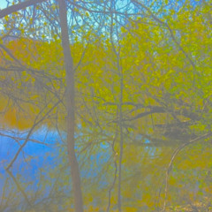 may 5th the pond 05.05.2019