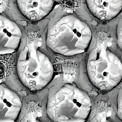 supermarket mar 7/24