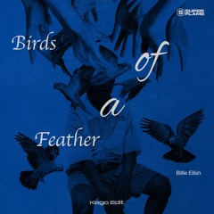 Birds Of A Feather (Kego Edit) *preview due to copyright*