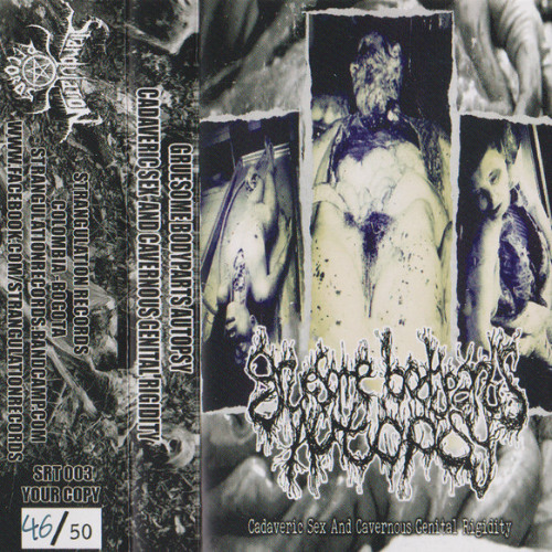 GRUESOME BODYPORTS AUTOPSY - Uncontrolled Pus Engorgement