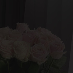 ‎⁨ سورة النساء - للقارئ عبد الرحمن الماجد