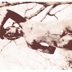 the divine comedy