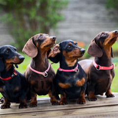 some real minimal shi