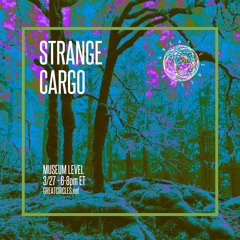 Strange Cargo w/ Museum Level - 28March2025