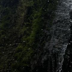 erahcli - area of scarves